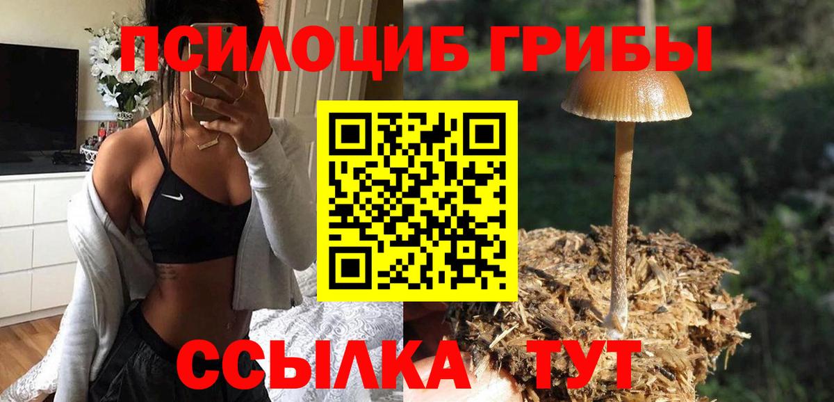 Усть-Кут  хочу наркоту  Псилоцибиновые грибы Cubensis  Вход с VPN  Псилоцибиновые грибы GOLDEN TEACHER 